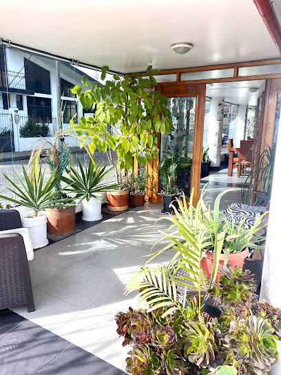 AF1QipM9qzw7rHkwnzHuQdTZHI6NjfguIB0Lc3Ek e1hw408 h544 k no