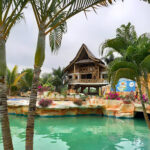 AF1QipMVNsUV0putUylNq1WdC sGCi P5rNNoOlMN13ww408 h306 k no