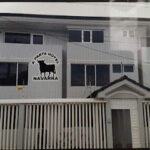 AF1QipMamq3urrBqJfOSQQBEaMlSQrOiB12UCGP8h5CJw426 h240 k no