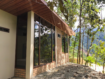 AF1QipMhH 0AgPfPibAfu0oNaPliDHEsv6UJXQJJr7Oww408 h306 k no