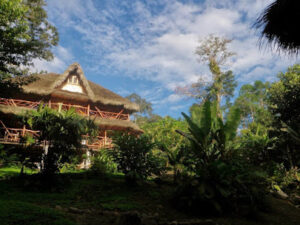 AF1QipMrJPFDflq2ypign3CdUJdFfxR2Zuysh3smHqP3w408 h305 k no