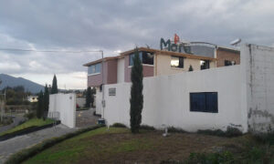 AF1QipMrpUlgqesHShe ebwlYOYPJwvBkKJSU6AshtrPw408 h244 k no