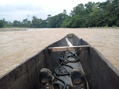 AF1QipMuSg2IIgpsP0jY5ReZ6BbQkte3M51bKVbG5jfVw408 h305 k no