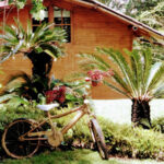 AF1QipNI5P939f3vbDtJvf2gDQVUmDopPYOyUizHm8gvw408 h306 k no