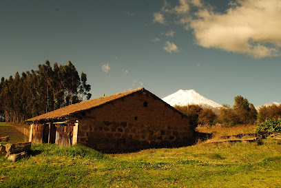 AF1QipNSKrdm j7FnsM2H63kAfIBZp TyAtxjfEHVhXKw408 h273 k no