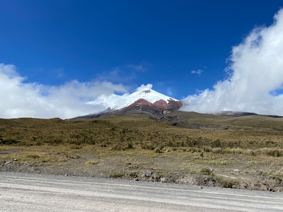 AF1QipNTmx nI1NMAUnb mDDtgWoSeUPeCUrJpRhcghiw408 h306 k no