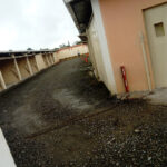 AF1QipNxDec9msRY2DEc81zrmm0WZq JLBVNKGvxvJh0w408 h544 k no