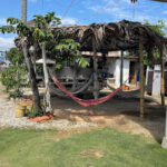 AF1QipO gse91buCILeWLR6AqfH8fqdoaF6nyHh2BFpDw408 h306 k no