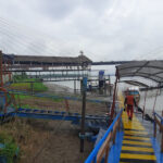 AF1QipPgWuEDrtyKjvwwR 0UYLxU0QSpI1z9QQNK2VZNw408 h305 k no